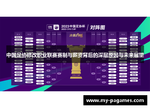 中国足协修改职业联赛赛制与薪资背后的深层原因与未来展望