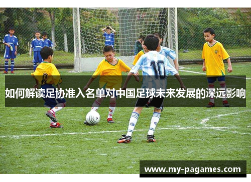 如何解读足协准入名单对中国足球未来发展的深远影响