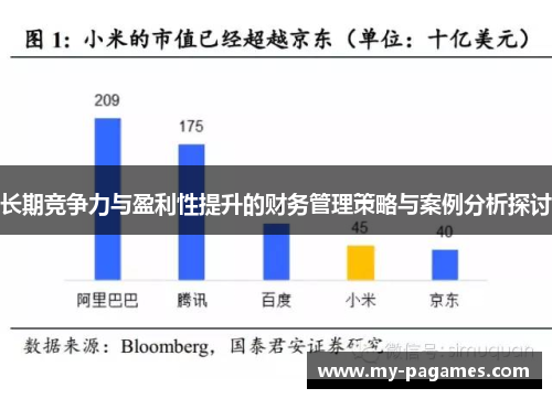 长期竞争力与盈利性提升的财务管理策略与案例分析探讨