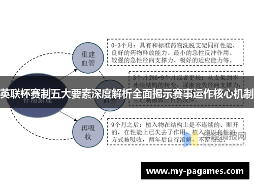 英联杯赛制五大要素深度解析全面揭示赛事运作核心机制 英联杯赛制五大要素深度解析全面揭示赛事运作核心机制