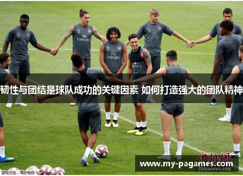 韧性与团结是球队成功的关键因素 如何打造强大的团队精神 韧性与团结是球队成功的关键因素 如何打造强大的团队精神