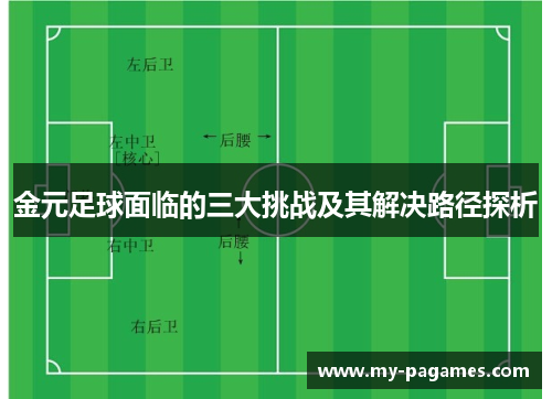 金元足球面临的三大挑战及其解决路径探析